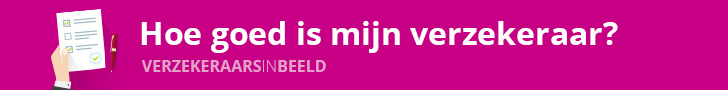 afbeelding Verzekeraars in Beeld