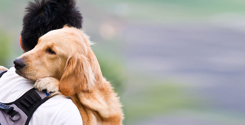 Jongen-met-rugzak-en-hond-op-schouder jongen met hond op schouder